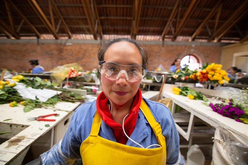 madres vegaflor floricultura colombia