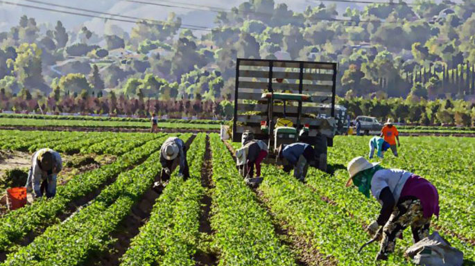 trabajadores-migrantes-agricultura-italia