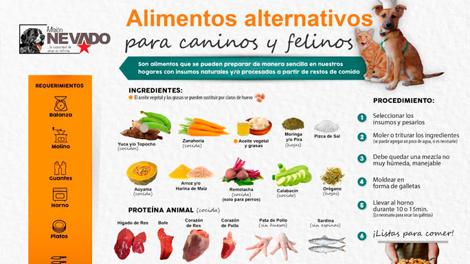 alimentos-alternativos-mascotas