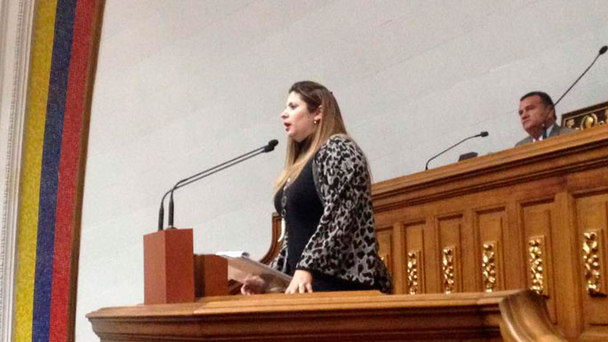 diputada-nora-bracho-asamblea-nacional