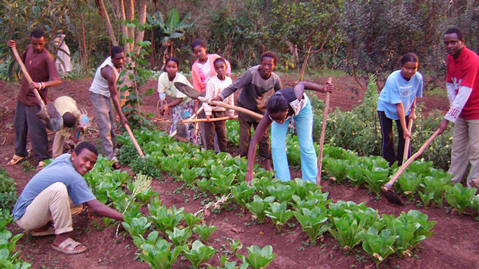 etiopia-jovenes-trabajo